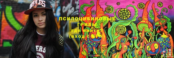спиды Алексеевка