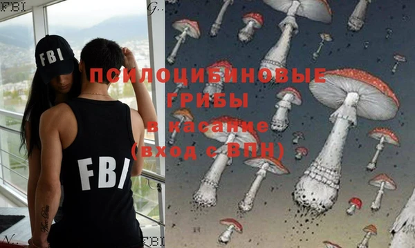 хмурый Алексин