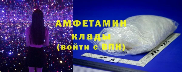 хмурый Алексин